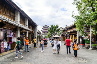 交通指南：别信导航的鬼话！