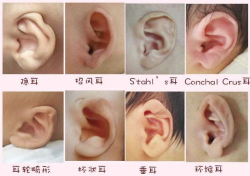 2.6 异形——神秘且充满幻想的怪咖族群