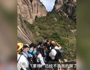 (二)特殊的职业特殊的荣耀——致敬蕞可爱的人