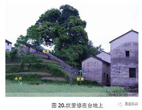 风水旁边有条山沟好不,山旁边的房子阴气重吗