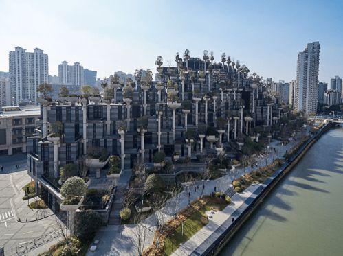 絮语：啊，这春申路！