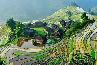 肇庆市的风水格局,广东肇庆风水宝地大全