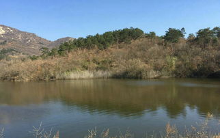 三、云南那个什么青龙园，坑钱圣地
