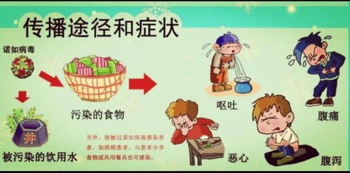 案例一：腹泻速救法 — “香蕉+米汤”组合拳