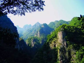 黔灵山国家地区森林公园