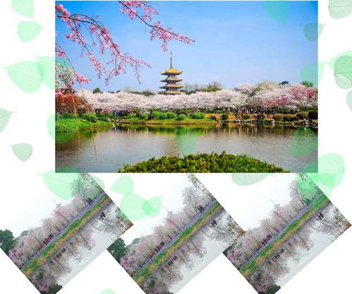 春日里的疯狂念头：4月，我们去哪里撒野？