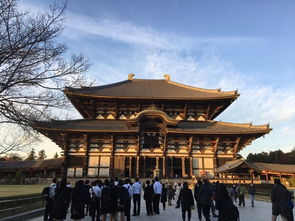 2. 东大寺（Tōdaiji）