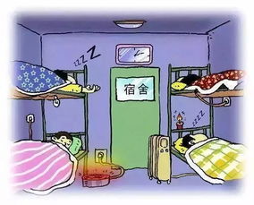 真实相较大白