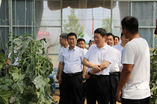 五、 社交媒体&网络语言乱入区🚀📱