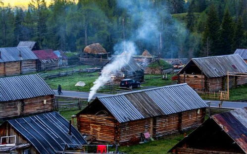 #噪音警报# 随意蹦跶的开场白