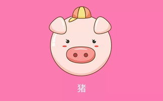 2026年属猪盖屋吉日六合日哪个月最吉利？属猪最旺结婚吉日是哪一天？