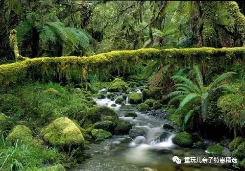 1. 五指山的深度游