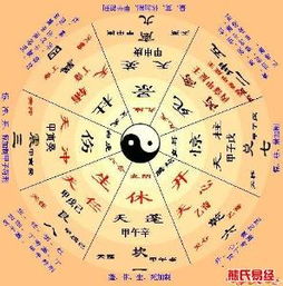 玄学选工作靠谱吗？