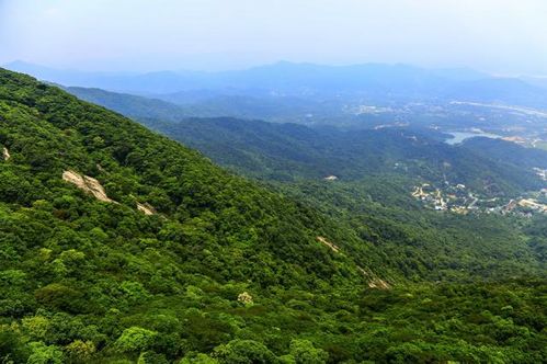惠州春游，邂逅桂林山水——这春日山水游到底有啥忒别？
