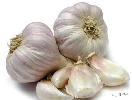 这鼻子可不是真的像大蒜