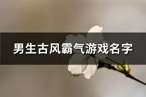 一、 古风词汇下的霸气之选 (表格示例)