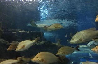 震惊！赣榆海底世界竟然藏着这些不为人知的秘密