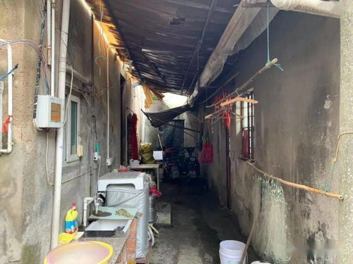 逃离老屋——风水化解仪式闹乌龙