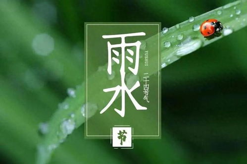 雨水节气天气咋样？烦死了！