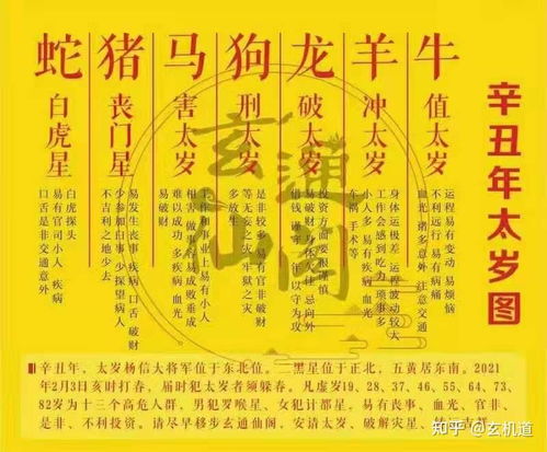 什么是太岁？为什么需要化解？