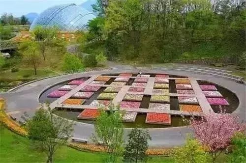五、彩虹农业公园——花海与自拍杆的大灾难现场