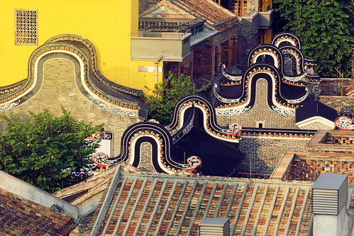 兴化风俗古迹，历史文化名城爆款打卡地