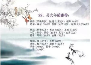 千年风俗，文化瑰宝，一网打尽中华精髓