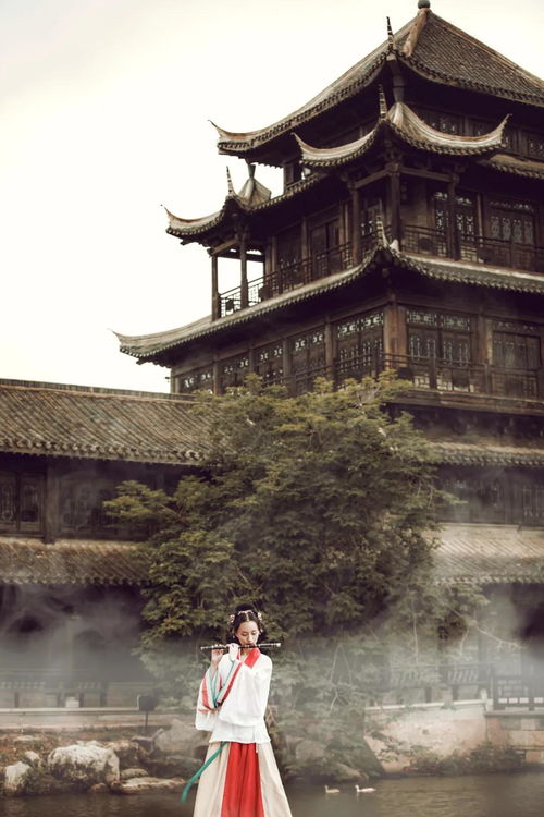 邂逅万寿山， 穿越千年的神秘之旅