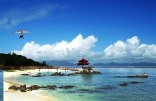 第三天：五指山——原始森林里的“野生指南针”