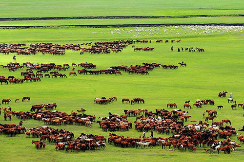 呼和浩特草原：一场让你怀疑人生的奇幻漂流