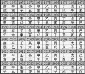 如何深入理解八字知识，全面掌握八字命理精髓？