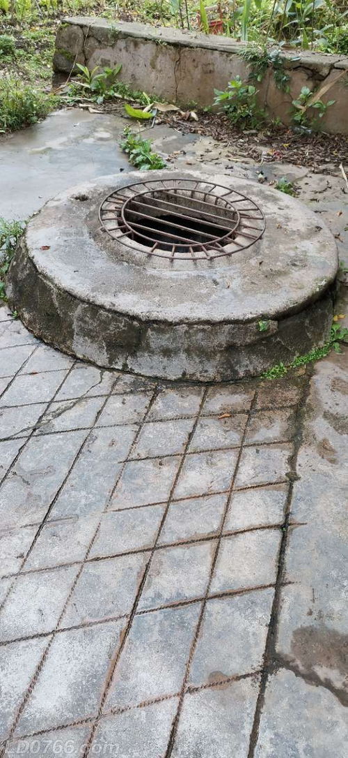 住在水井旁边,住在水井旁边