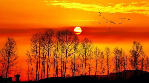 6.1 夕阳下的那一抹红