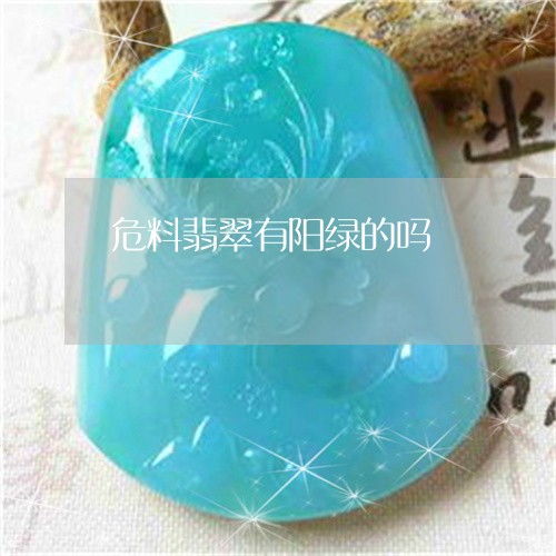 危料翡翠颜色有哪些,翡翠有哪些种类和颜色