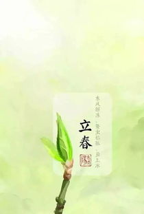 哎呦喂，这立春可不是闹着玩的！