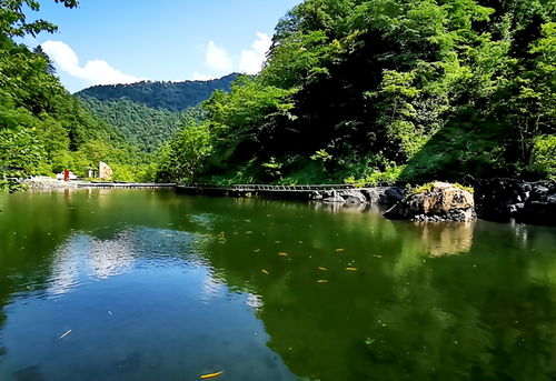 景点四：王仙岭，水上乐园还是爬山机器？