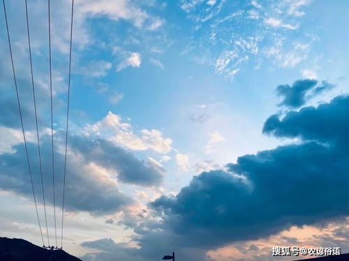 夏至蝉鸣，运势变迁