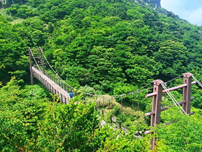 3. 10:30之后：下山时段， 腿抖时刻