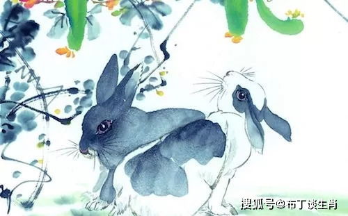 属兔人为何既出息又善良，且具备哪三个聪明特质？