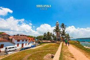 加勒古城的免费玩法