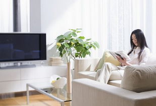 天呐！这些盆栽能让你一夜暴富