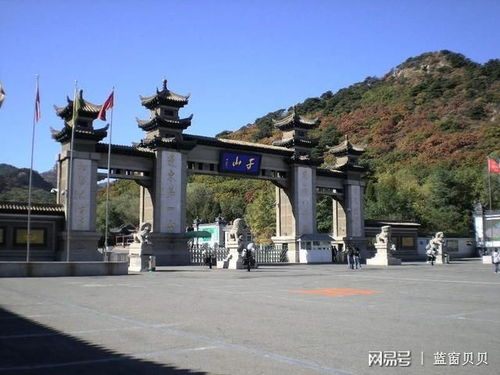惯与那该死的停车问题