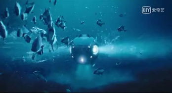 一开始的不安与海螺的回响