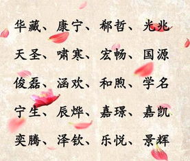 怎样根据梅姓和王姓特点，为男孩取一个既良好听又寓意良好的名字？
