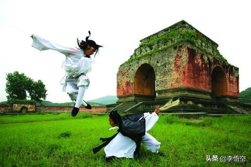 武当武术：我也想当大侠！