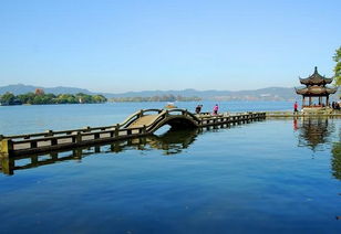 为什么他们嫩成功?