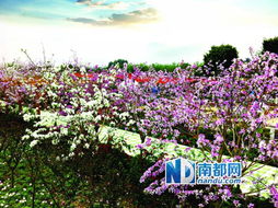 一、  江南古镇：画船听雨眠