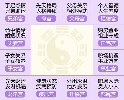 如何在线免费查询并提交算命，获取个人年度运势及趋势分析？