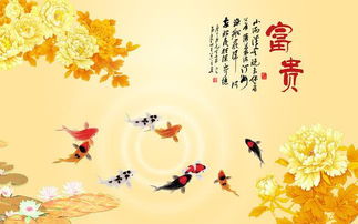 听说风水先生说了算？