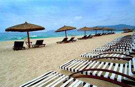 椰树下的“悲剧”